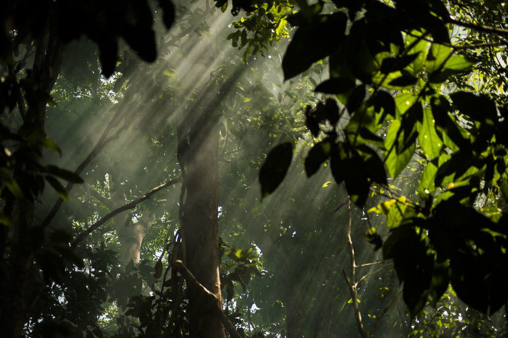Belum Rainforest Resort Gerik Zewnętrze zdjęcie
