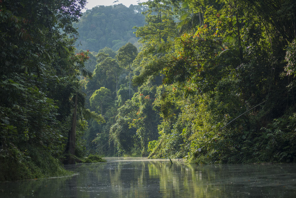 Belum Rainforest Resort Gerik Zewnętrze zdjęcie