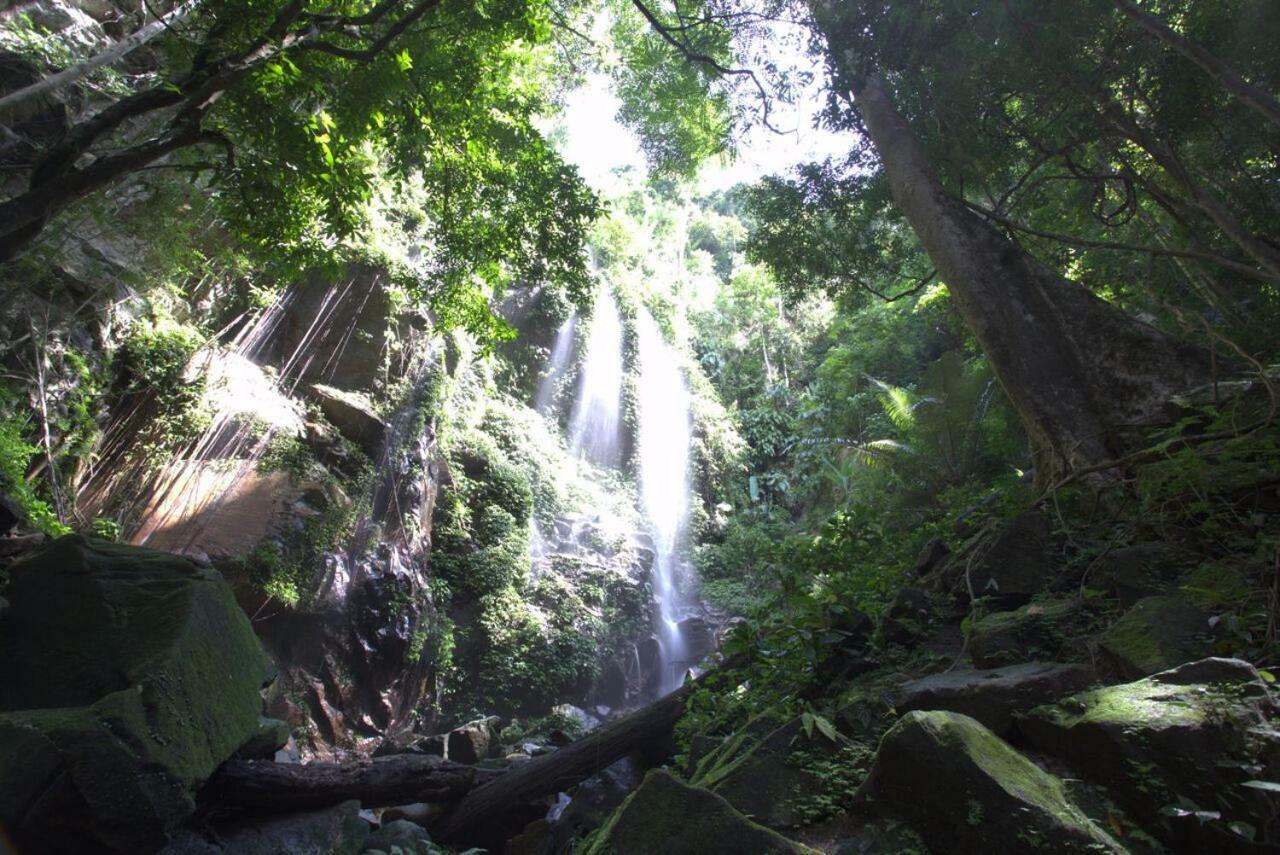 Belum Rainforest Resort Gerik Zewnętrze zdjęcie